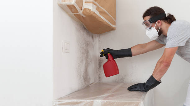 Professional Bathroom Mold Removal technician working in Bahama, NC